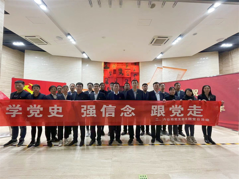 黨支部互幫共建主題黨日活動(dòng).jpg