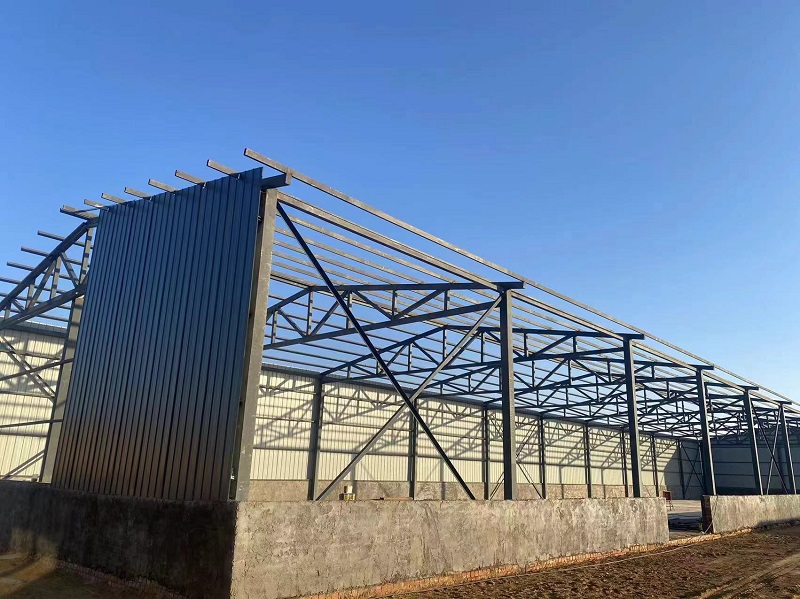 黑石鎮千頭和牛育肥場(chǎng)建設項目.jpg