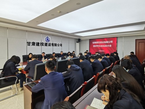 【喜迎黨代會 開啟新征程】為開好第二次黨代表大會打下堅實基礎
